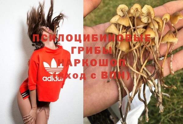 дурь Алексин
