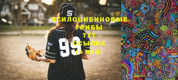 дурь Алексин