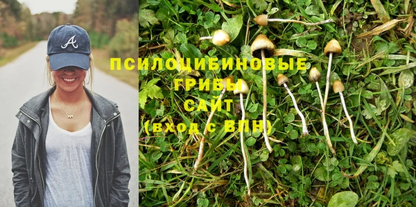 дурь Алексин