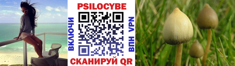 Галлюциногенные грибы мицелий  Ишим 